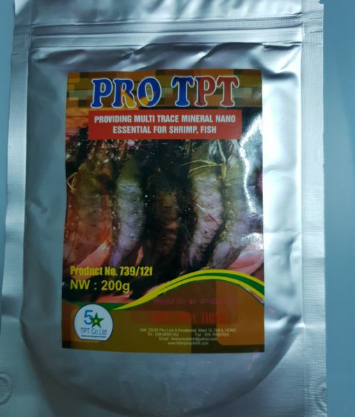 Pro TPT