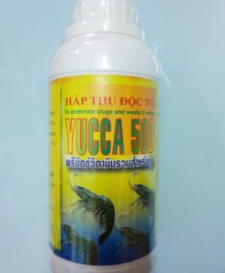 Hấp thụ ammonia, hydrogen sulfide, loại bỏ nitrite